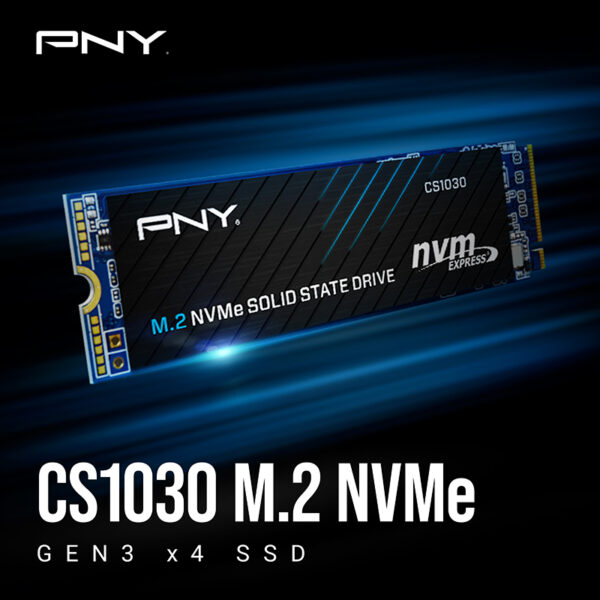 PNY SSD M.2 NVMe PCIe Gen3 250GB CS1030 - Image 2